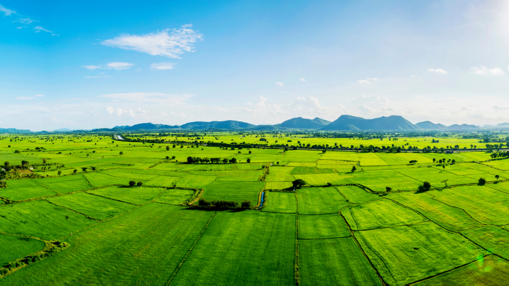 Agriculture Land in Hyderabad for Sale | Best Farmland Investment Opportunities agriculture land in Hyderabad for sale